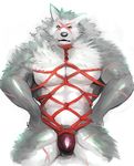  amber_eyes biceps bulge canine harness iceman1984 looking_at_viewer male mammal muscles nude pecs rope rope_bondage rouen scar sega shining_(series) shining_force shining_wind solo speedo swimsuit underwear video_games wolf 