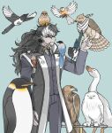  1boy ace_attorney animal_on_arm animal_on_head animal_on_shoulder bird bird_on_arm bird_on_hand bird_on_head bird_on_shoulder bird_request bird_tail black_hair black_necktie black_suit blue_background brown_feathers buttons closed_mouth commentary eagle feather_in_mouth feathers goose highres long_hair male_focus multicolored_hair necktie on_head owl penguin phoenix_wright:_ace_attorney_-_dual_destinies simon_blackquill simple_background snowy_owl suit symbol-only_commentary tail taka_(ace_attorney) talons too_many too_many_birds two-tone_hair white_fur white_hair white_suit wings woghkfdydqnfr 