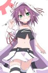  1girl absurdres commentary_request covered_navel cynical_(llcbluckg_c004) green_eyes grin highres keystone merry_nightmare midriff partial_commentary purple_hair skirt smile solo thighhighs white_background yumekui_merry 