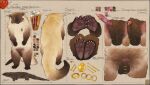  2026 5_fingers 5_toes absurd_res anal_glands anatomically_correct anatomically_correct_anus anatomically_correct_genitalia anatomically_correct_penis animal_genitalia animal_penis anthro anus areola aroused artist_logo artist_name backsack balls barefoot big_tail binturong biped black_body black_feet black_fur black_hands black_paws black_tail brooch brown_balls brown_body brown_ears brown_fur brown_sheath brown_thighs butt butt_focus claws cole_(garagesystem) colored_sketch detailed_anus diagram digital_drawing_(artwork) digital_media_(artwork) ear_piercing ear_ring english_text erect_nipples erection facial_piercing feet feral finger_claws fingers frenum_ladder frenum_piercing front_view fur furry_tail genital_piercing genitals glands handpaw hdyly hi_res high-angle_view hindpaw jewelry jewelry_only ladder_piercing logo long_tail looking_at_viewer male male_(lore) male_anthro mammal model_sheet monotone_anus monotone_background monotone_balls monotone_body monotone_feet monotone_genitals monotone_hands monotone_skin multicolored_body multicolored_fur multicolored_penis multicolored_tail multiple_angles multiple_images nipples nose_piercing nose_ring nubbed_penis nude orange_eyes pawpads paws penile penis penis_piercing perineum piercing pink_anus pink_body pink_nipples pink_pawpads pink_penis pink_skin plantigrade prehensile_tail prince_albert_piercing pupils purple_penis quadruped rear_view ribbed_penis ring_piercing sheath short short_male short_penis signature simple_background sketch slit_pupils small_anus small_areola small_balls small_nipples small_penis small_sheath soles solo spiked_penis spikes spikes_(anatomy) standing tail tail_anus tan_body tan_fur tan_tail tan_thighs text textured_background thick_tail thin_penis three-quarter_view toe_claws toes two_tone_inner_ear two_tone_penis two_tone_thighs viverrid whisker_spots whiskers white_body white_claws white_fur white_tail yellow_body yellow_fur yellow_tail 