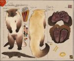  2026 5_fingers 5_toes animal_genitalia anthro artist_logo artist_name barefoot big_tail binturong biped black_body black_feet black_fur black_hands black_paws black_tail brooch brown_body brown_ears brown_fur brown_sheath brown_thighs claws cole_(garagesystem) colored_sketch diagram digital_drawing_(artwork) digital_media_(artwork) ear_piercing ear_ring english_text facial_piercing feet feral finger_claws fingers front_view fur furry_tail genitals handpaw hdyly hi_res high-angle_view hindpaw jewelry jewelry_only logo long_tail looking_at_viewer male male_(lore) male_anthro mammal model_sheet monotone_background monotone_body monotone_feet monotone_hands monotone_skin multicolored_body multicolored_fur multicolored_tail multiple_angles multiple_images nipples nose_piercing nose_ring orange_eyes pawpads paws piercing pink_body pink_nipples pink_pawpads pink_skin plantigrade prehensile_tail pupils quadruped ring_piercing sheath short short_male signature simple_background sketch slit_pupils small_nipples soles solo standing tail tan_body tan_fur tan_tail tan_thighs text textured_background thick_tail three-quarter_view toe_claws toes two_tone_inner_ear two_tone_thighs viverrid whisker_spots whiskers white_body white_claws white_fur white_tail yellow_body yellow_fur yellow_tail 