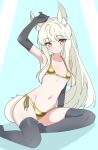  1girl absurdres alternate_costume animal_ear_fluff animal_ears arknights arm_up bikini black_gloves black_thighhighs blush breasts closed_mouth collarbone commentary_request eggplant7217 elbow_gloves foot_out_of_frame gloves gold_bikini groin highres long_hair looking_at_viewer navel platinum_(arknights) side-tie_bikini_bottom sitting small_breasts solo swimsuit tail thighhighs white_hair white_tail yellow_bikini yellow_eyes 