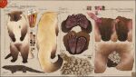  2026 5_fingers 5_toes absurd_res anal_glands anatomically_correct anatomically_correct_anus anatomically_correct_genitalia anatomically_correct_penis animal_genitalia animal_penis anthro anus areola aroused artist_logo artist_name backsack balls barefoot big_tail binturong biped black_body black_feet black_fur black_hands black_paws black_tail bodily_fluids brooch brown_balls brown_body brown_ears brown_fur brown_sheath brown_thighs butt butt_focus claws cole_(garagesystem) colored_sketch crowning_feces detailed_anus diagram digital_drawing_(artwork) digital_media_(artwork) ear_piercing ear_ring english_text erect_nipples erection facial_piercing feces feet feral finger_claws fingers frenum_ladder frenum_piercing front_view fur furry_tail genital_fluids genital_piercing genitals glands handpaw hdyly hi_res high-angle_view hindpaw jewelry jewelry_only ladder_piercing logo long_tail looking_at_viewer male male_(lore) male_anthro mammal model_sheet monotone_anus monotone_background monotone_balls monotone_body monotone_feet monotone_genitals monotone_hands monotone_skin multicolored_body multicolored_fur multicolored_penis multicolored_tail multiple_angles multiple_images nipples nose_piercing nose_ring nubbed_penis nude orange_eyes pawpads paws peeing penile penis penis_piercing perineum piercing pink_anus pink_body pink_nipples pink_pawpads pink_penis pink_skin plantigrade pooping prehensile_tail prince_albert_piercing pupils purple_penis quadruped rear_view ribbed_penis ring_piercing scatplay sheath short short_male short_penis signature simple_background sketch slit_pupils small_anus small_areola small_balls small_nipples small_penis small_sheath soles solo spiked_penis spikes spikes_(anatomy) standing stretched_anus tail tail_anus tan_body tan_fur tan_tail tan_thighs text textured_background thick_tail thin_penis three-quarter_view toe_claws toes two_tone_inner_ear two_tone_penis two_tone_thighs unusual_feces urine urine_drip urine_stream viverrid watersports wetting whisker_spots whiskers white_body white_claws white_fur white_tail yellow_body yellow_fur yellow_tail 