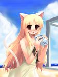  animal_ears blonde_hair blush cat_ears cat_tail copyright_request drinking glasses long_hair red_eyes ribbon shin_(new) solo tail 