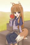  animal_ears apple brown_hair fang food fruit holo ishikkoro long_hair red_eyes solo spice_and_wolf tail wolf_ears 