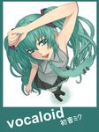  armpits bad_id bad_pixiv_id green_eyes green_hair green_nails hatsune_miku long_hair nail_polish nayu necktie skirt solo thighhighs twintails vocaloid 