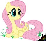  amuzoreh blue_eyes cutie_mark equine female feral fluttershy_(mlp) friendship_is_magic hair horse mammal my_little_pony pegasus pink_hair pony smile solo wings 