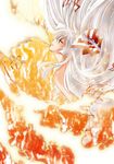  bird closed_eyes fire floating_hair from_side fujiwara_no_mokou hair_ribbon long_hair phoenix profile ribbon rindou_matsuri silver_hair touhou 