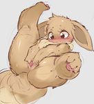  blush eevee furry gen_1_pokemon legs_over_head pokemon pokemon_(creature) pussy slugbox solo spread_pussy tail thick_thighs thighs 