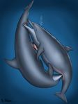  anus cetacean dolorcin dolphin female feral male mammal marine oral pregnant slit 