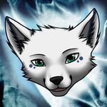  absolute am animated blinking blizzard blue_markings canine chiroina chyo female fur glue greatness green_eyes i ice icon mammal markings myself of open_mouth photo proud so white_fur wolf 