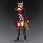  1girl female lu_lingqi shin_sangoku_musou solo 