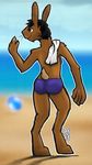  beach hair lagomorph liquidrabbit male mammal rabbit seaside simple_background solo underwear 
