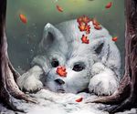  canine claws cub cute fur leaf mammal nature nicolas0113 snow solo whiskers white_fur winter wolf young 