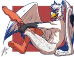  abs avian beak fur gryphon hair jacqumo legwear licking licking_lips looking_at_viewer male nude sephirothiel side_view sitting socks solo stockings tail_tuft tongue tongue_out tuft white_feathers white_fur white_hair wings 