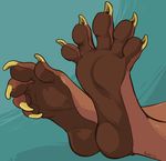  5_toes anthro badger barefoot claws faceless_male fly_(artist) foot_focus hindpaw male mammal mustelid paws plain_background presenting solo toe_claws toes 