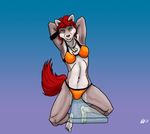  5_toes anthro arms_behind_head bikini blue_background breasts canine diving_board dog_tags female fur green_eyes grey_fur hair looking_at_viewer mammal markings multicolor_fur navel plain_background plantigrade red_hair sitting small_breasts smile socks_(marking) swimsuit teeth toes two_tone_fur white_fur wide_hips 