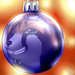  canine chiroina christmas_bauble chyo dandy doodle fox holidays icon invalid_color lights male mammal reflection solo testing training warm 