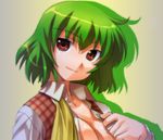  ascot bad_id bad_pixiv_id breasts cleavage kazami_yuuka large_breasts light_smile open_clothes open_shirt plaid plaid_vest shirt solo touhou umekichi untied upper_body vest 