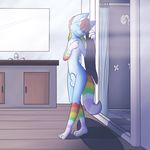  anthro balls canine cloud_(artist) darknader hair male mammal multi-colored_hair nude penis rainbow rainbow_fur rainbow_hair rainbow_tail sheath shower solo wolf 