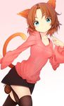  animal_ears blue_eyes brown_hair cat_ears cat_tail original shoes short_hair skirt smile solo standing standing_on_one_leg sweater tail thighhighs zettai_ryouiki zizi_(zz22) 