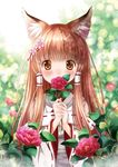  animal_ears blush brown_eyes brown_hair flower fox_ears hair_flower hair_ornament hair_tubes japanese_clothes long_hair miko nature original riolabo sidelocks solo 