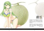  bikini blush breasts cleavage food fruit green_bikini green_hair hair_ornament kochiya_sanae large_breasts long_hair melon nabeshima_tetsuhiro nuregami ookami_(game) oversized_food oversized_object simple_background solo swimsuit touhou yellow_eyes 