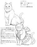  animal bell bohe bow cat cat_focus character_name character_profile closed_eyes collar dual_persona elizabeth_(ojimajo_5) greyscale hood mahou_chuunen_ojimajo_5 male_focus monochrome no_humans sitting skirt stats translated 