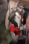  2019 5_fingers anthro athletic bulge canid canine cellphone chunie claws clothed clothing detailed_background digital_media_(artwork) exhibitionism fox fur grey_fur group hi_res inside jewelry leaning looking_aside male mammal navel necklace nipples phone public_nudity public_transportation shorts solo solo_focus subway topless white_fur 