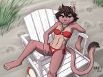  2018 anthro beach bikini blue_eyes breasts brown_hair camp_pines cat chair chest_tuft clothed clothing detailed_background dipstick_tail feet feline female footprint full_body fur grass hair heresy_(artist) jenny_(domovoi) life_preserver lifeguard looking_at_viewer lying mammal multicolored_tail navel pawprint pink_fur sand seaside skimpy small_breasts smile solo swimsuit tuft whistle 