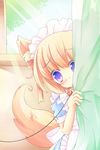  animal_ears apron blonde_hair blue_eyes collar curtain_grab curtains dog_collar dog_ears dog_tail highres kt_cano light maid maid_apron maid_headdress original peeking_out short_hair solo sunlight tail 