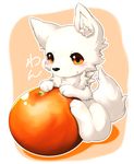  black_nose blush canine chest_tuft cute dog fruit fur hi_res japanese_text looking_at_viewer mammal orange_background orange_eyes paws plain_background smile solo text tomcat_in_sky tuft white_background white_fur white_skin 