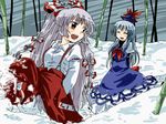  ^_^ bamboo bamboo_forest blue_dress closed_eyes dress forest fujiwara_no_mokou hair_ribbon hands_in_pockets hat kamishirasawa_keine long_hair multiple_girls mundane_utility nature red_eyes ribbon santa_hat silver_hair snow suspenders touhou unya very_long_hair 