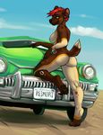  &lt;3 2013 4_toes anthro black_nose breasts butt car claws cute ear_piercing female green_eyes hair hindpaw hyena iggi looking_at_viewer mammal nude pawpads paws piercing red_hair reimori short_hair smile solo spots toe_claws 