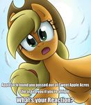  cowboy_hat english_text equine female first_person_view friendship_is_magic ghosthavocstallion hat horse mammal moon my_little_pony night pony text 