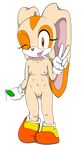  alpha_channel anthro areola breasts cream_the_rabbit cub erect_nipples female jetfrozen lagomorph long_ears looking_at_viewer mammal navel nipples nude one_eye_closed pussy rabbit sega small_breasts smile solo sonic_(series) tongue young 