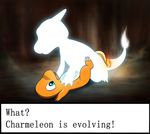  charmander charmeleon dancingchar den duo english_text evolution female male nintendo open_eyes pok&#233;mon pok&eacute;mon reptile scalie shocked straight text video_games 
