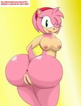  adc1309 amy_rose anthro anus areola big_breasts big_butt breasts butt erect_nipples female green_eyes hair hedgehog looking_at_viewer looking_back mammal nipples nude pink_hair pussy sega sidneythesaiyanlord101 solo sonic_(series) 