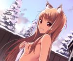  animal_ears breasts brown_hair foxgirl horo kawakami_rokkaku long_hair nipples nude red_eyes spice_and_wolf tree 