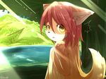  blush canine chilon eyebrows female hair looking_at_viewer looking_back mammal mountain open_mouth outside red_hair short_hair sky solo sunshine surprise water yellow_eyes 