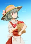  alternate_costume apple apron bow cover cover_page food fruit gradient gradient_background green_hair hasegawa_keita hat hat_bow hat_ribbon kazami_yuuka plaid plaid_vest red_eyes ribbon simple_background smile solo touhou vest 