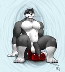  abdominal_bulge anal anal_insertion anal_masturbation anal_penetration anthro balls biceps big_balls big_penis black_fur black_hair black_nose black_penis border_collie canine claws clenched_teeth crouching cum cum_string dildo dildo_sitting dog fangs filut fur green_eyes hair half-erect humanoid_penis insertion kimbyfox leaking long_foreskin male mammal masturbation muscles nude one_eye_closed open_mouth pecs penetration penis precum presenting sex_toy sheath solo strype sweat teeth thick_penis toe_claws uncut vein white_fur 