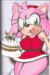  amy_rose anthro cake female food green_eyes hair hedgehog mammal michiyoshi pink_hair sega smile solo sonic_(series) 