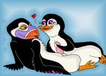  female male penguin puffin sheila the_penguins_of_madagascar 