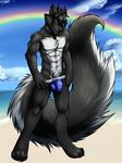  anthro ash_harden beach biceps black_fur black_hair black_nose black_pawpads brown_eyes bulge canine chest chest_tuft claws clothed clothing fur grey_fur grin hair hindpaw hybrid jockstrap male mammal muscles necklace pawpads paws pecs pose pubes rainbow sand sea seaside shynjy skimpy skunk smile solo standing tight_clothing toe_claws toned topless tuft underwear water white_fur wolf yellow_eyes 