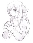  feline female hair kurube long_hair looking_at_viewer mammal monochrome plain_background sketch solo white_background white_hair 