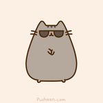  animated cat cute dancing eyewear feline fur gangnam_style grey_fur humor mammal pusheen pusheen_corp simple_background solo sunglasses waving 