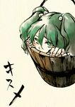  bucket green_eyes green_hair hands in_bucket in_container kisume shou_shishi solo touhou twintails wooden_bucket 