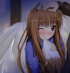  animal_ears blush brown_hair holo long_hair narumi_yuu_(imitmoon) one_eye_closed out_of_frame petting solo_focus spice_and_wolf tail wolf_ears wolf_tail 