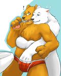  anthro bear blue_eyes brown_eyes brown_fur brushing_teeth cerb0980 duo embrace fur gay grizzly_bear grope male mammal polar_bear simple_background teeth toothbrush topless underwear white_fur 